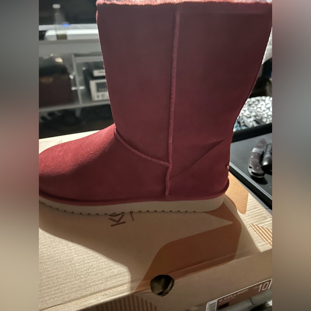 Brand new in the box Uggs